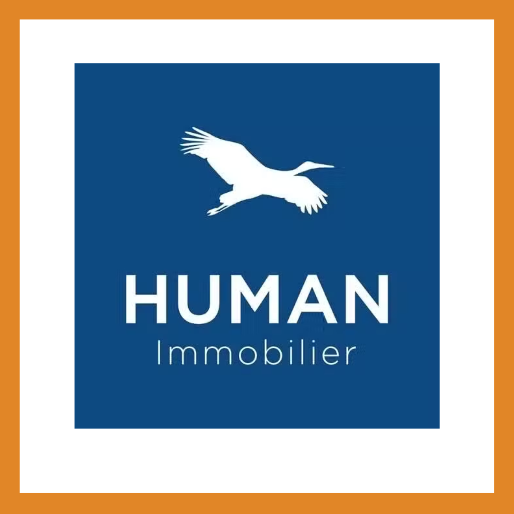 Human Immobilier